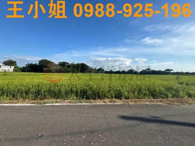 桃園新屋農地-13