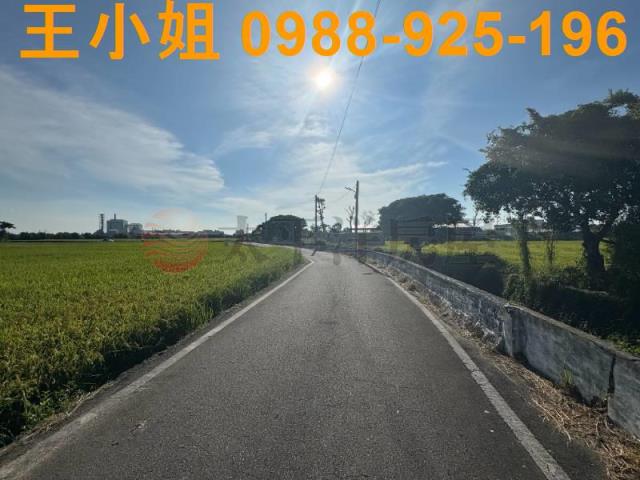 桃園新屋農地-2