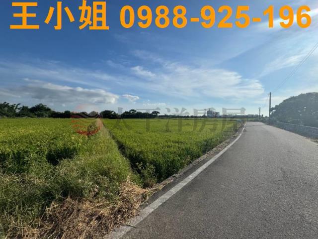 桃園新屋農地-4