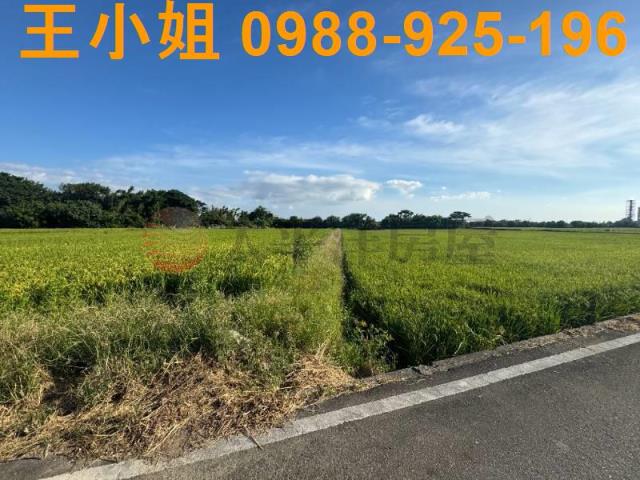 桃園新屋農地-5