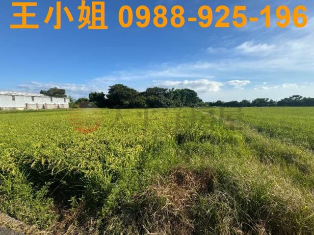 桃園新屋農地-8