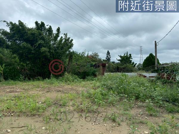 台南新化農地-2