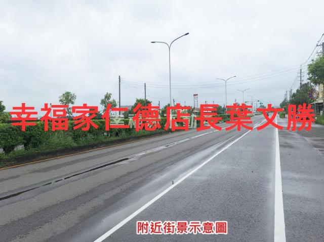 黎明中學柚子樹農地台南培倫房屋土地王0931384262