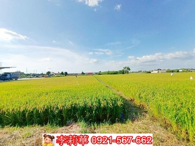 六甲農地-9