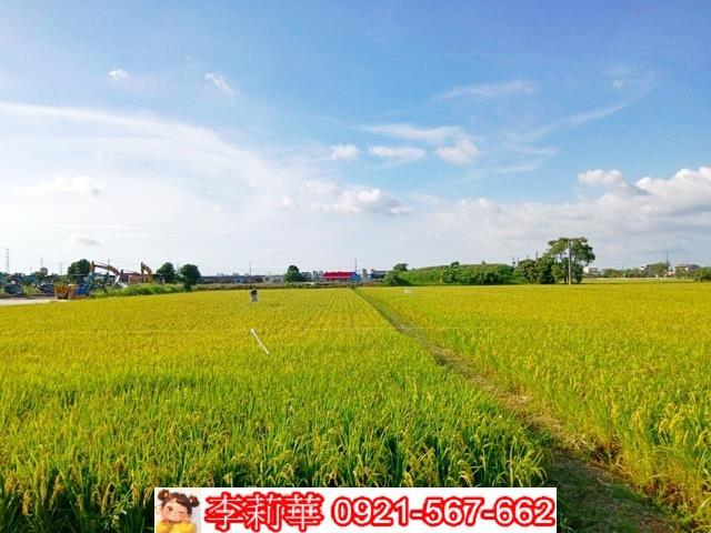 六甲農地-10