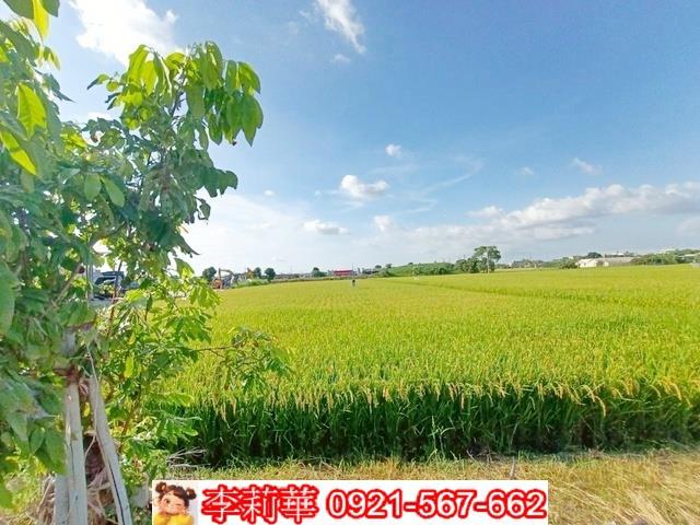 六甲農地-11