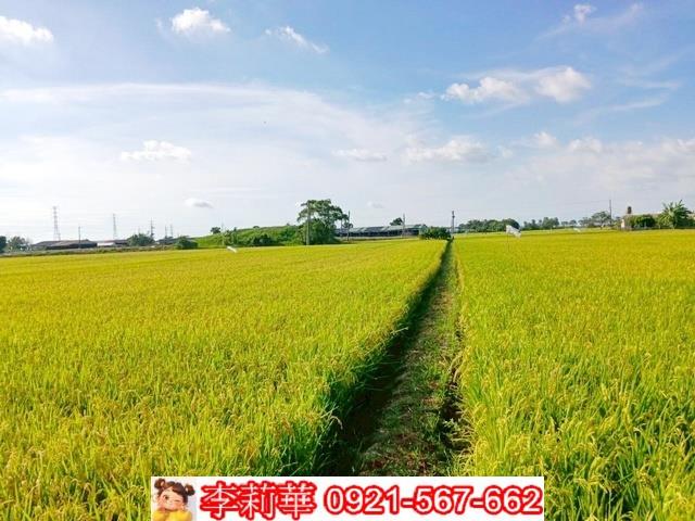 六甲農地-12