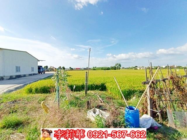 六甲農地-4