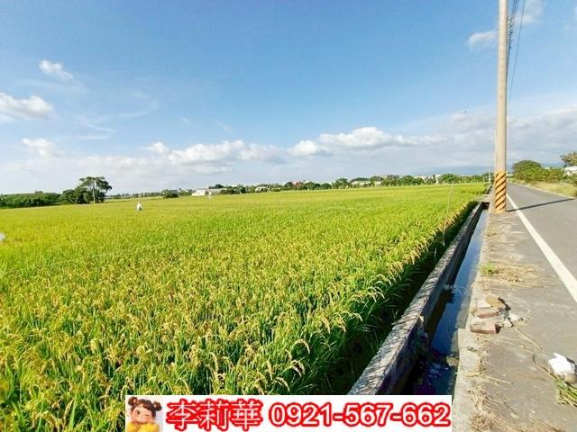 六甲農地-5