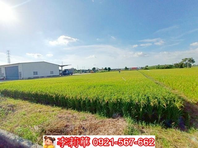六甲農地-7