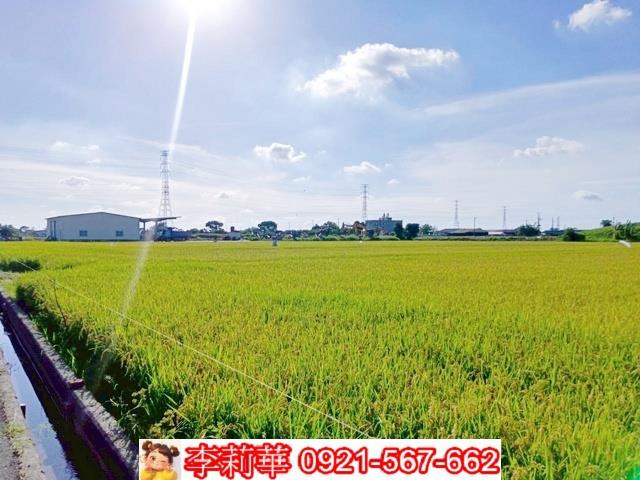 六甲農地-8
