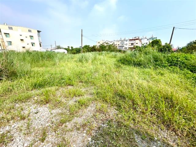新園建地-2