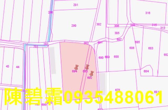 台南麻豆農地-4