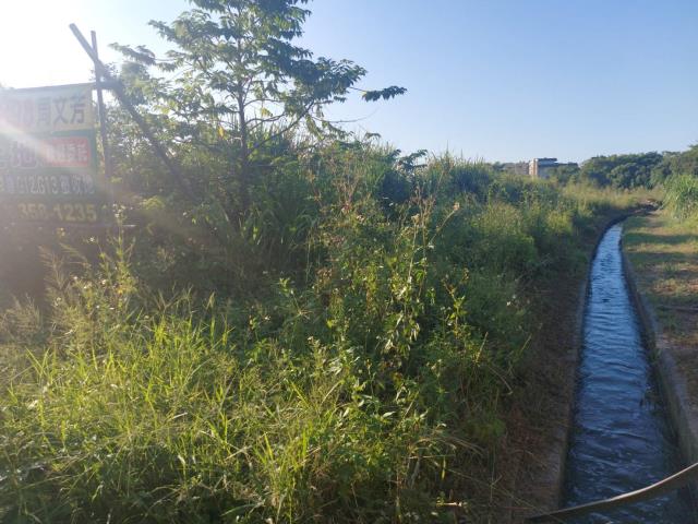 桃園桃園區農地-4