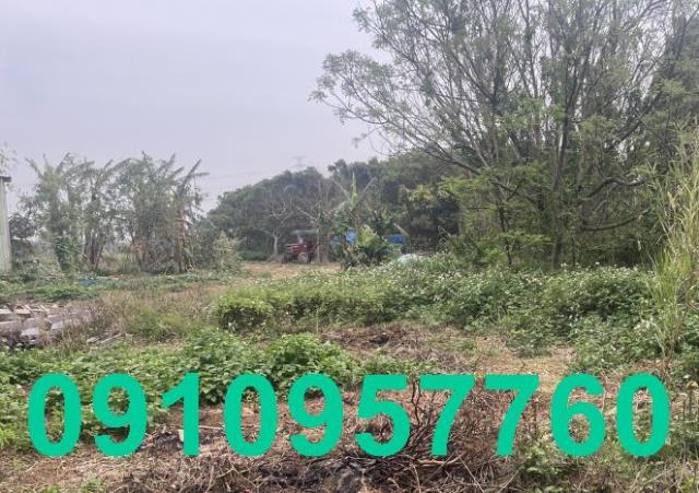 楊梅農地-1
