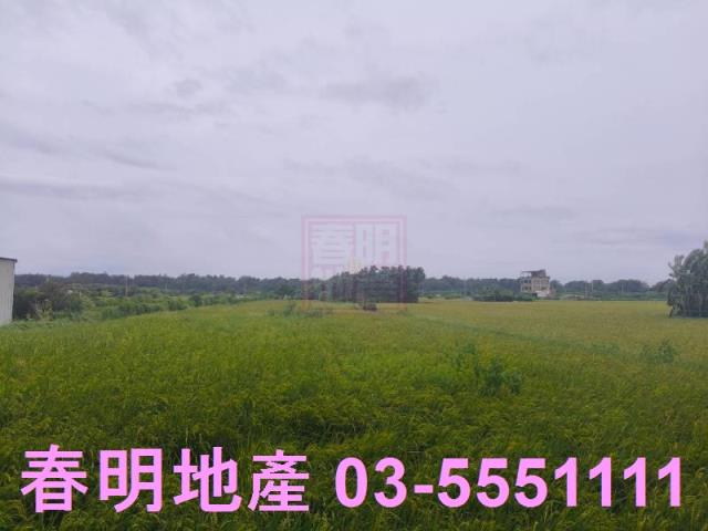 新竹農地-5