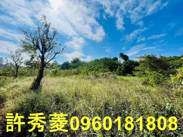 高雄燕巢農地-0