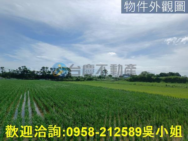 新竹新豐農地-0