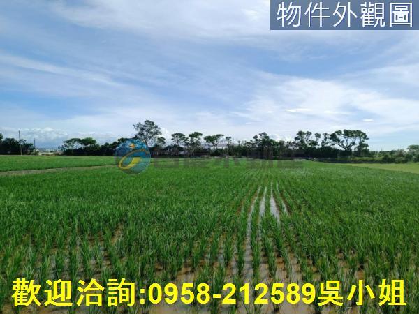 新竹新豐農地-2