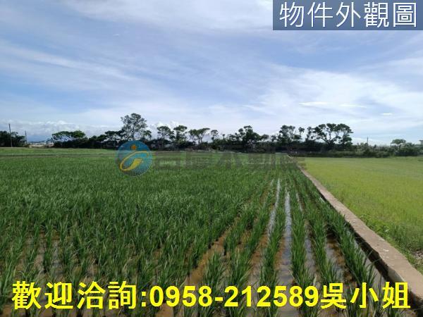 新竹新豐農地-3