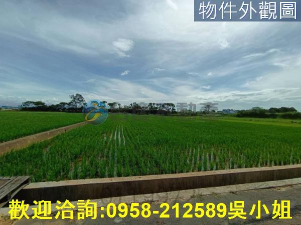 新竹新豐農地-4