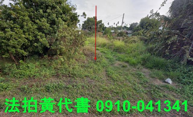 東區農地法拍-0