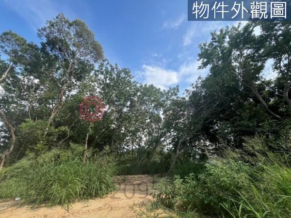 香山農地-2
