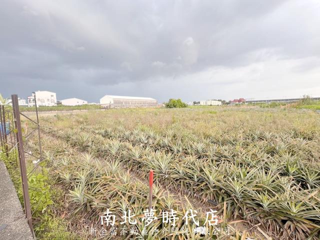 新化農地-7