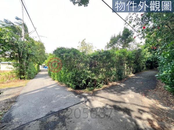 新竹農地-6