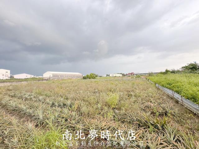 台南新化農地-9