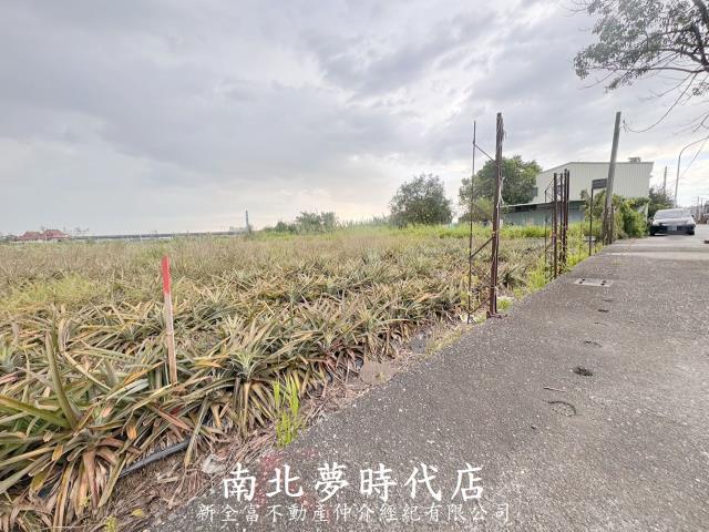 台南新化農地-4