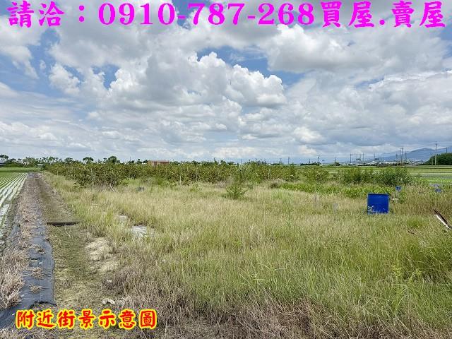 台南柳營農地-10