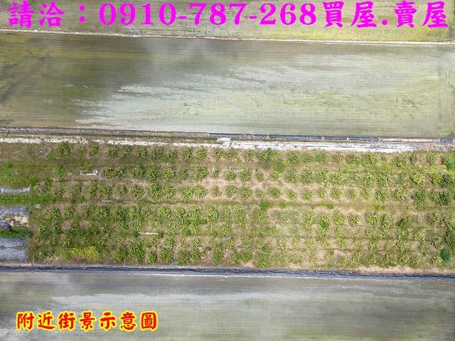 台南柳營農地-7