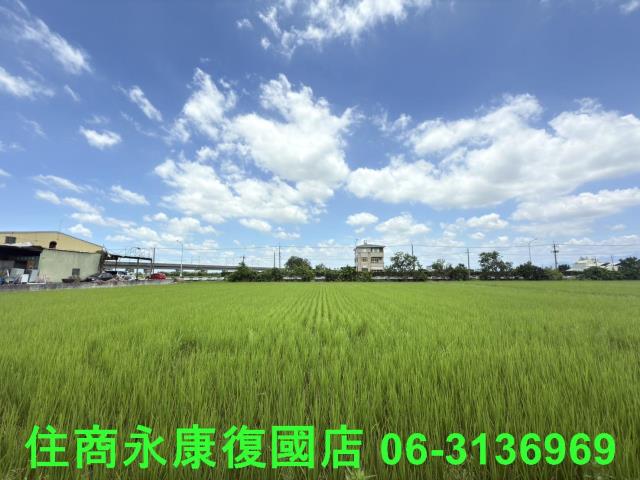 台南六甲農地-4