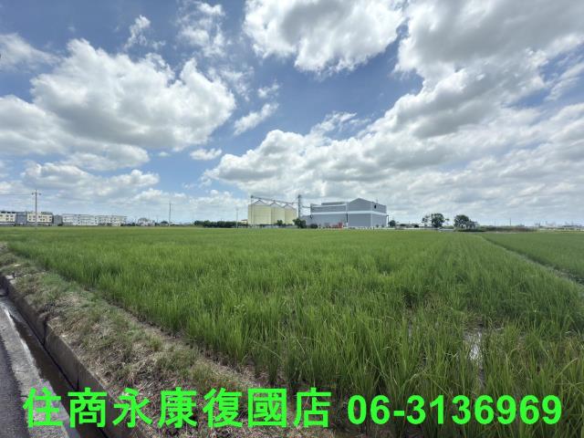 台南六甲農地-6