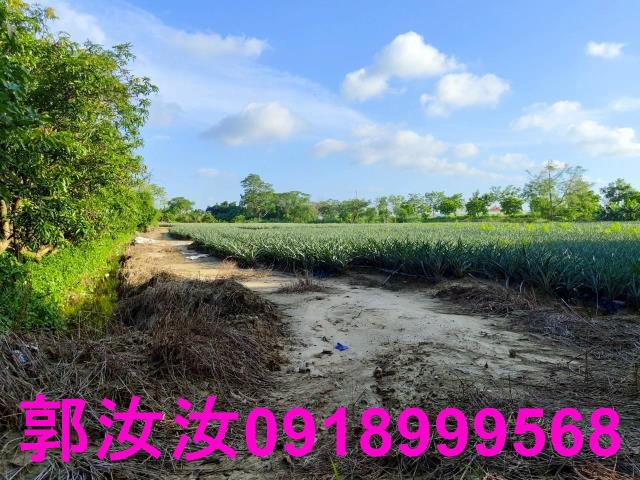 關廟農地-11