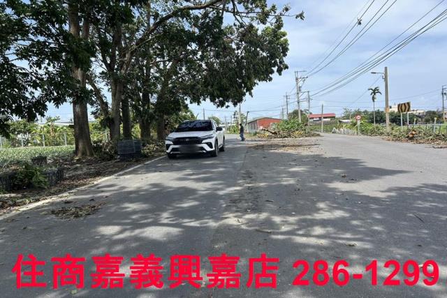 中埔農地-4