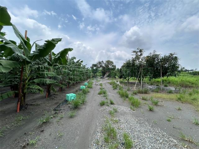 屏東農地-8
