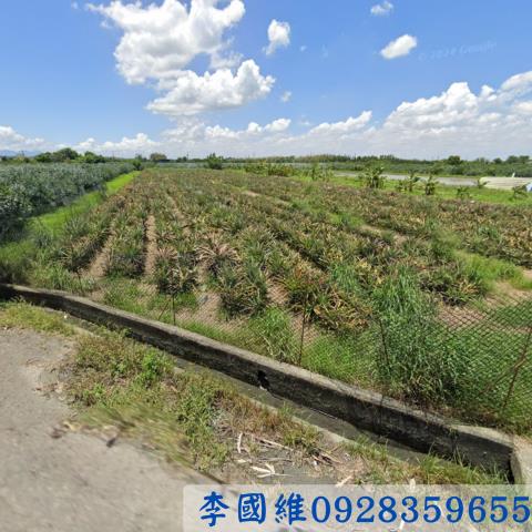 雲林古坑法拍農地-1