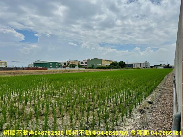 福興農地-2