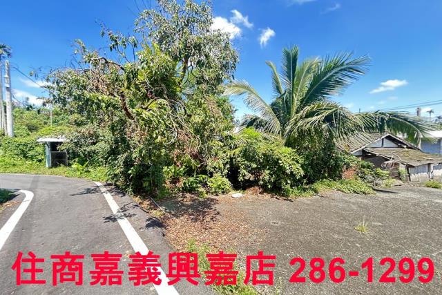 番路農地-9