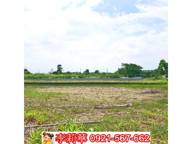 台南農地-5