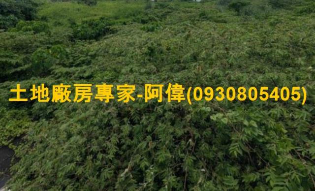 屏東潮州農地-0