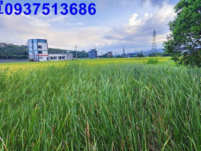 宜蘭農地-0
