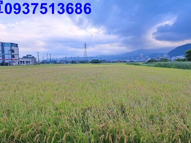 宜蘭農地-7