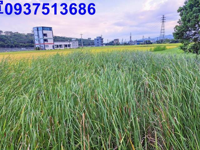 宜蘭農地-2