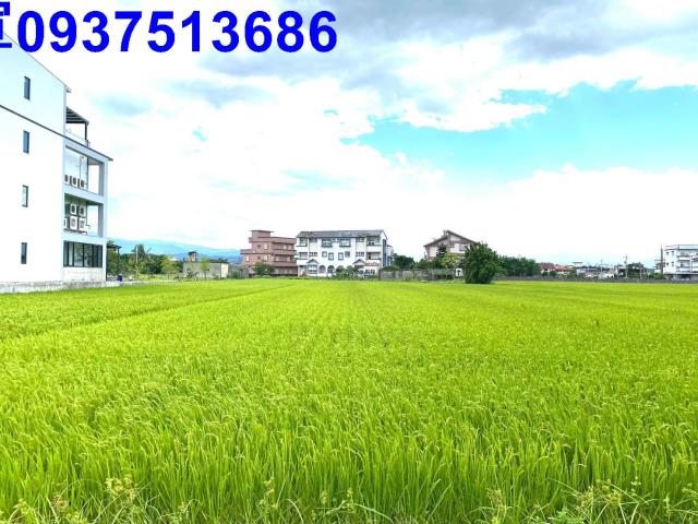 宜蘭農地-9