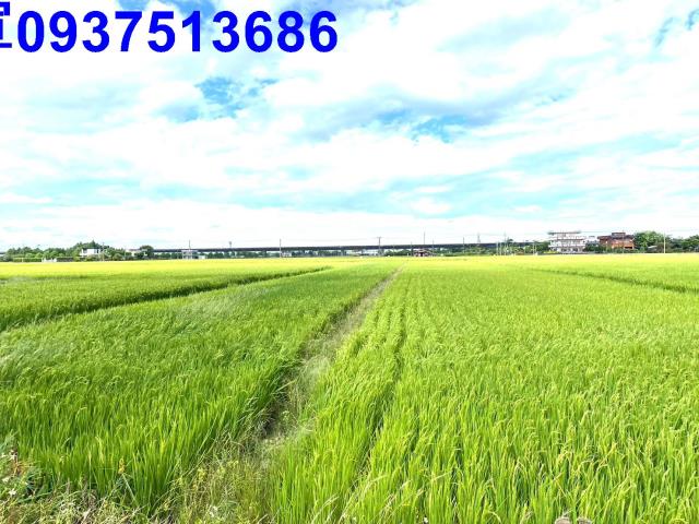 宜蘭農地-10