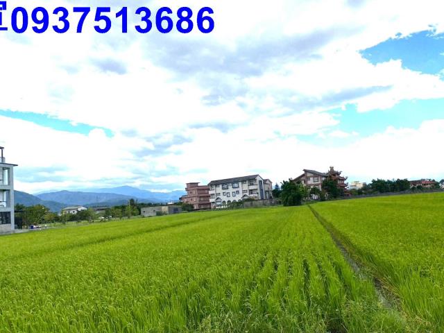 宜蘭農地-1
