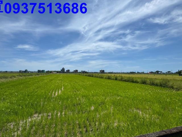 宜蘭農地-6